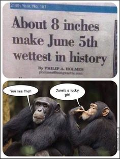 IMG_0838.jpeg