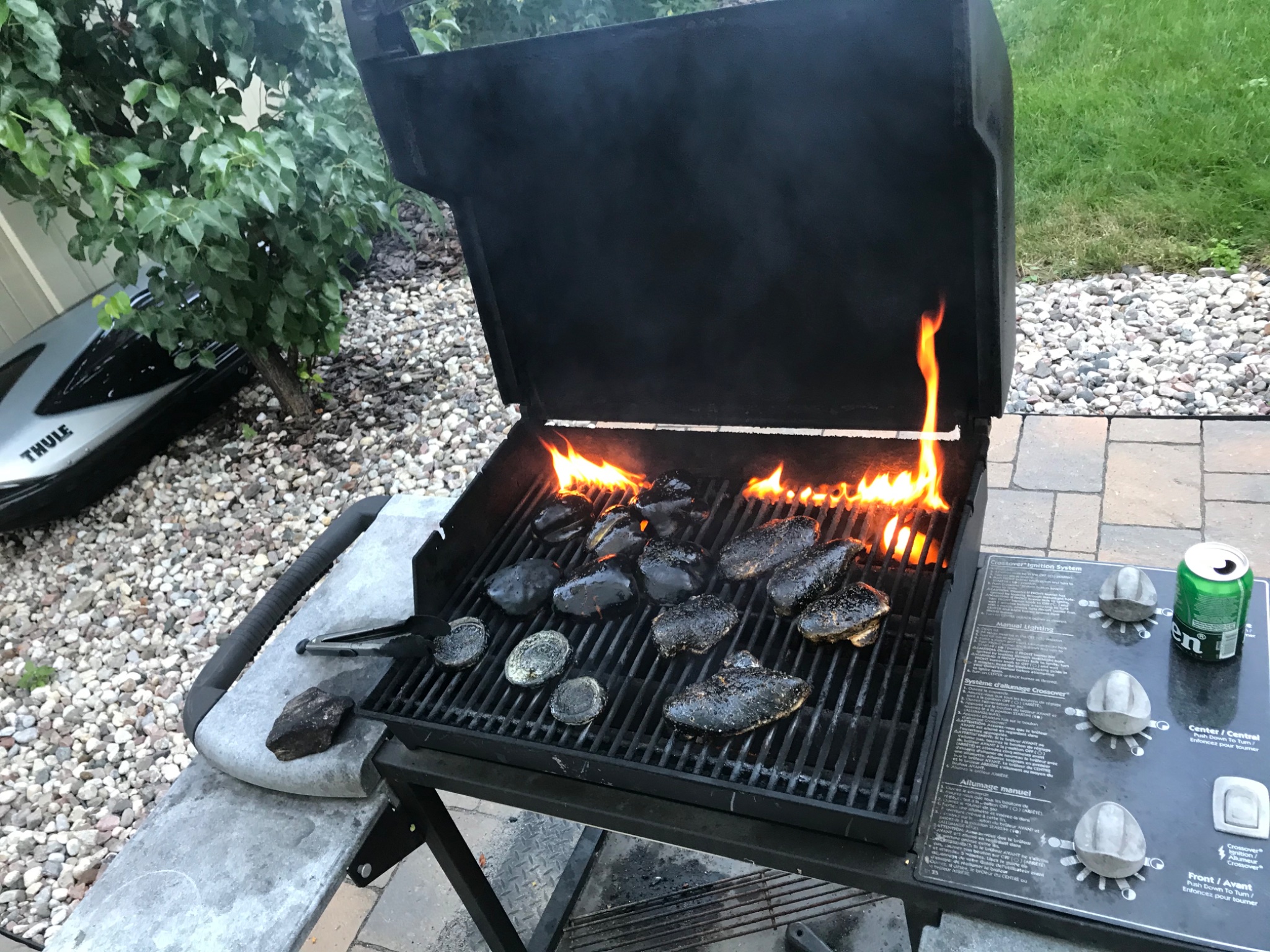 IMG_0920.jpeg