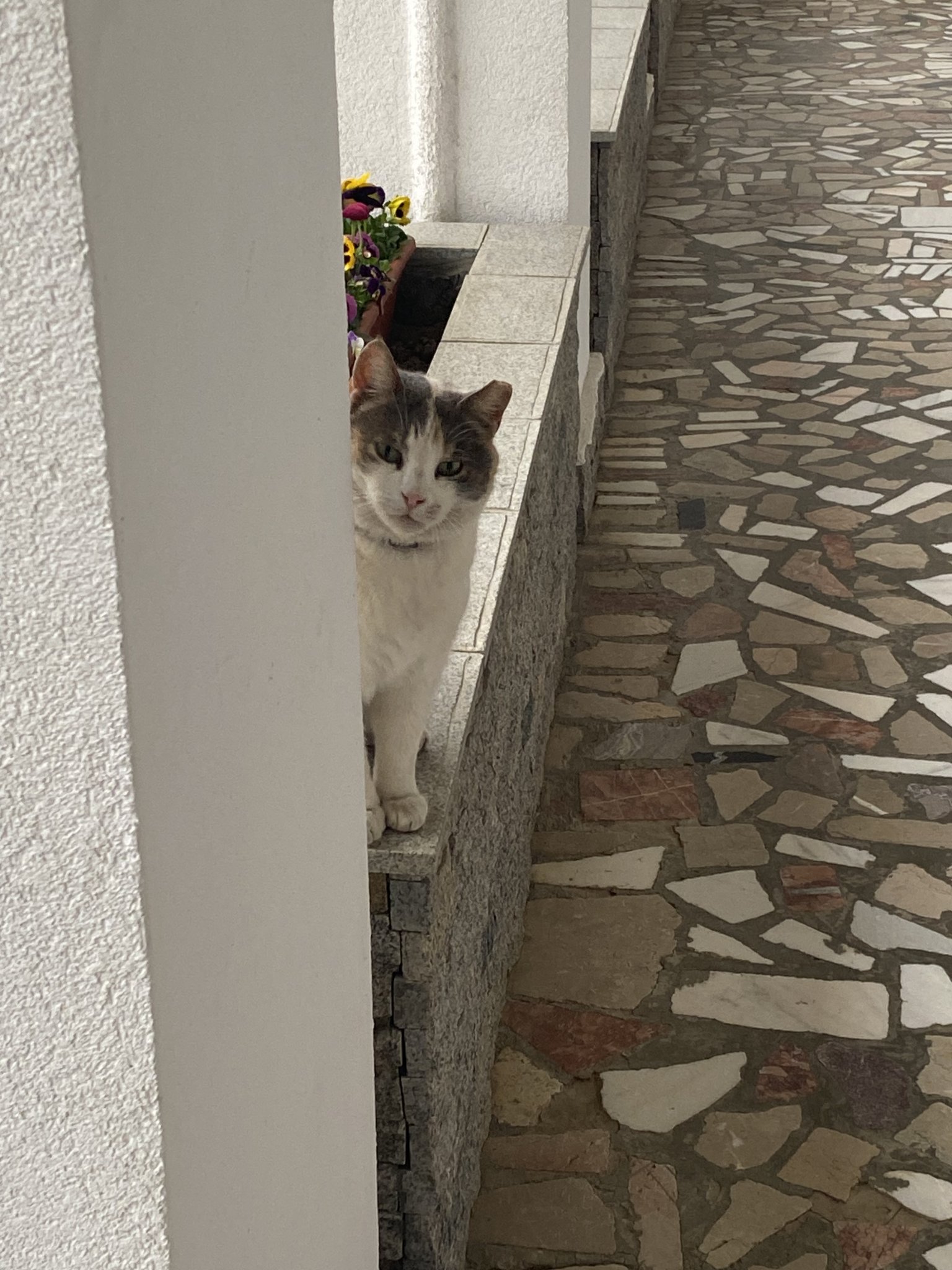 IMG_1122.jpeg
