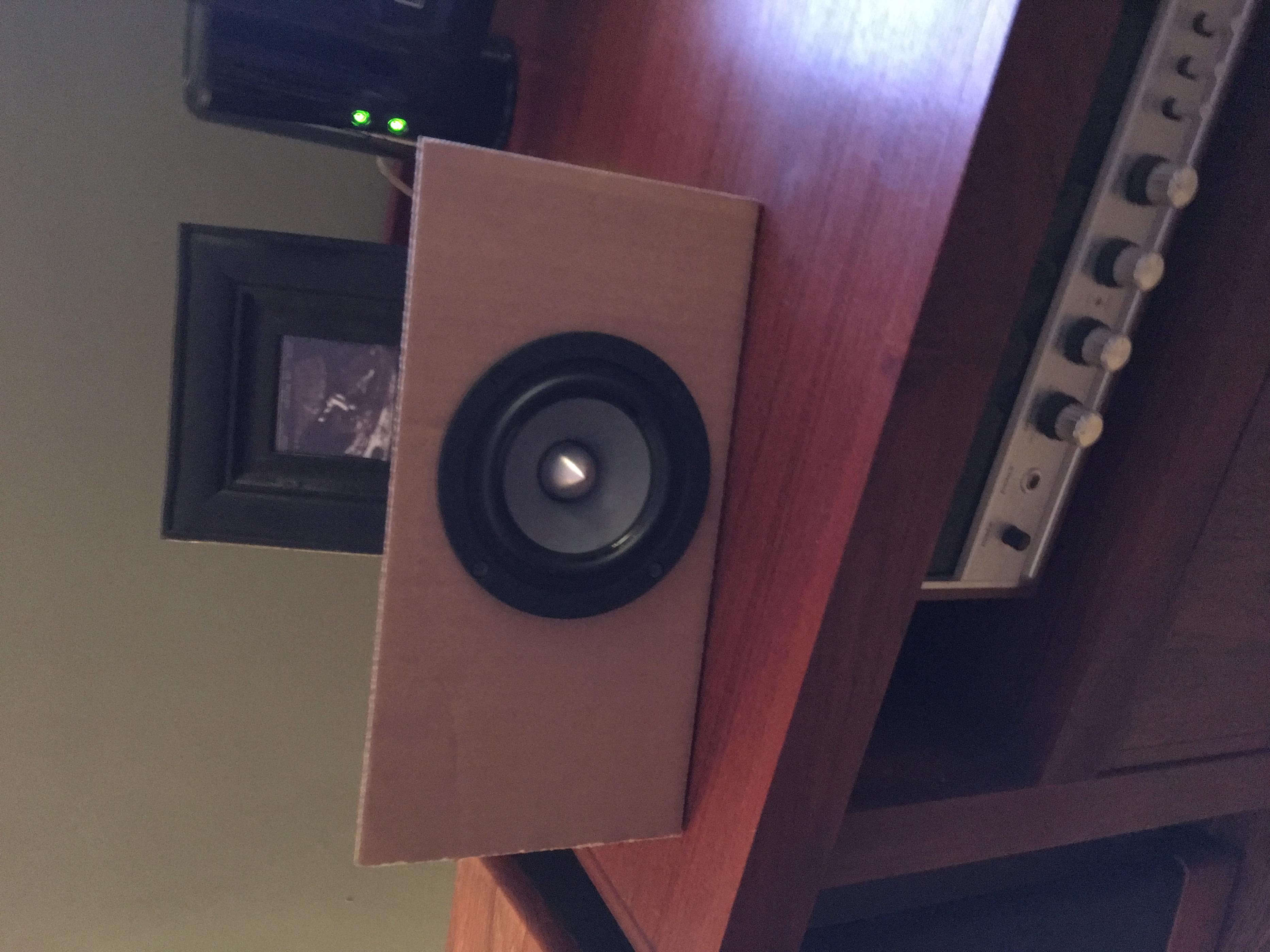 What to do with Tang Band W4-1320 bamboo | diyAudio