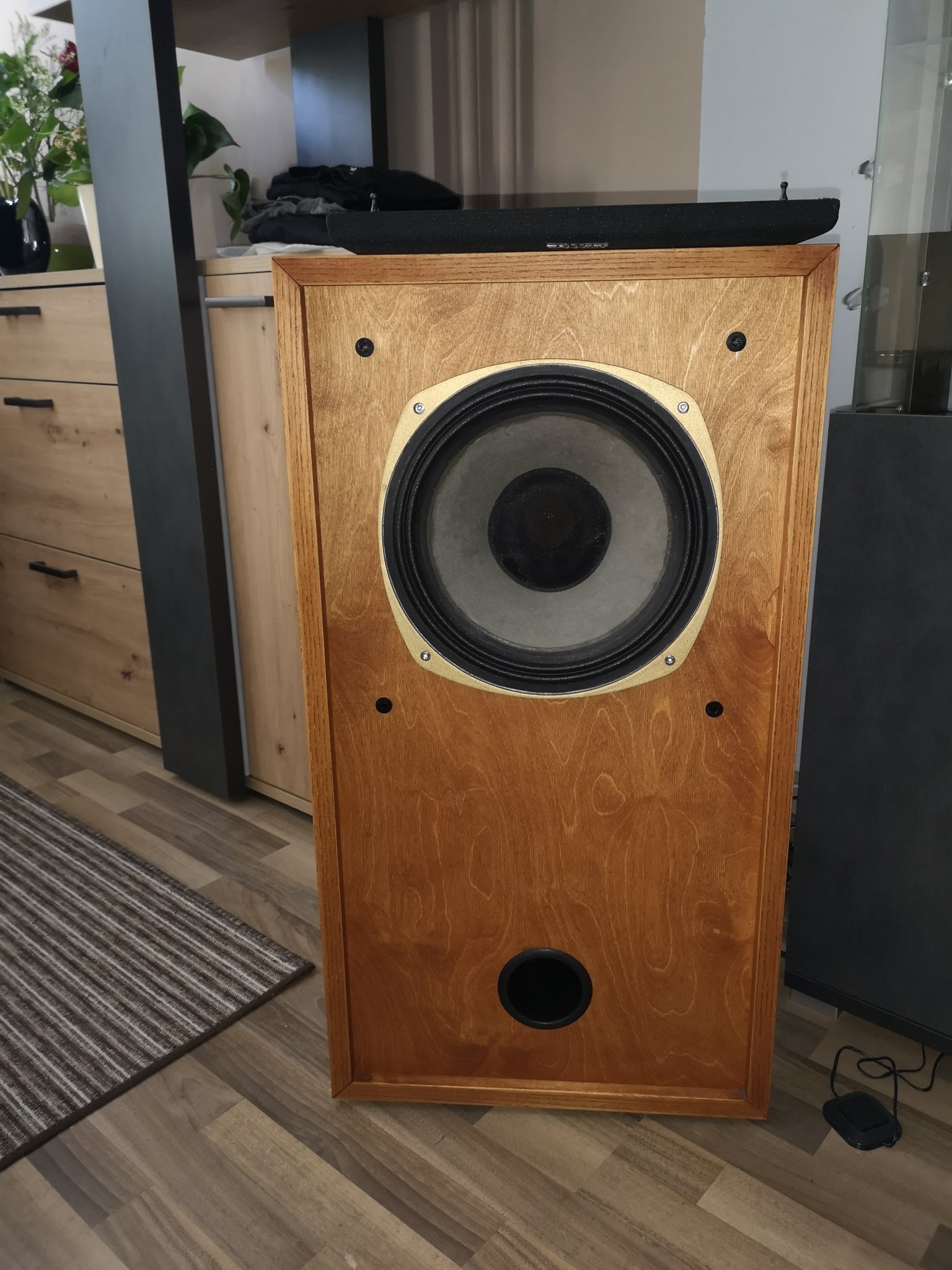 Tannoy srm 12 new arrivals