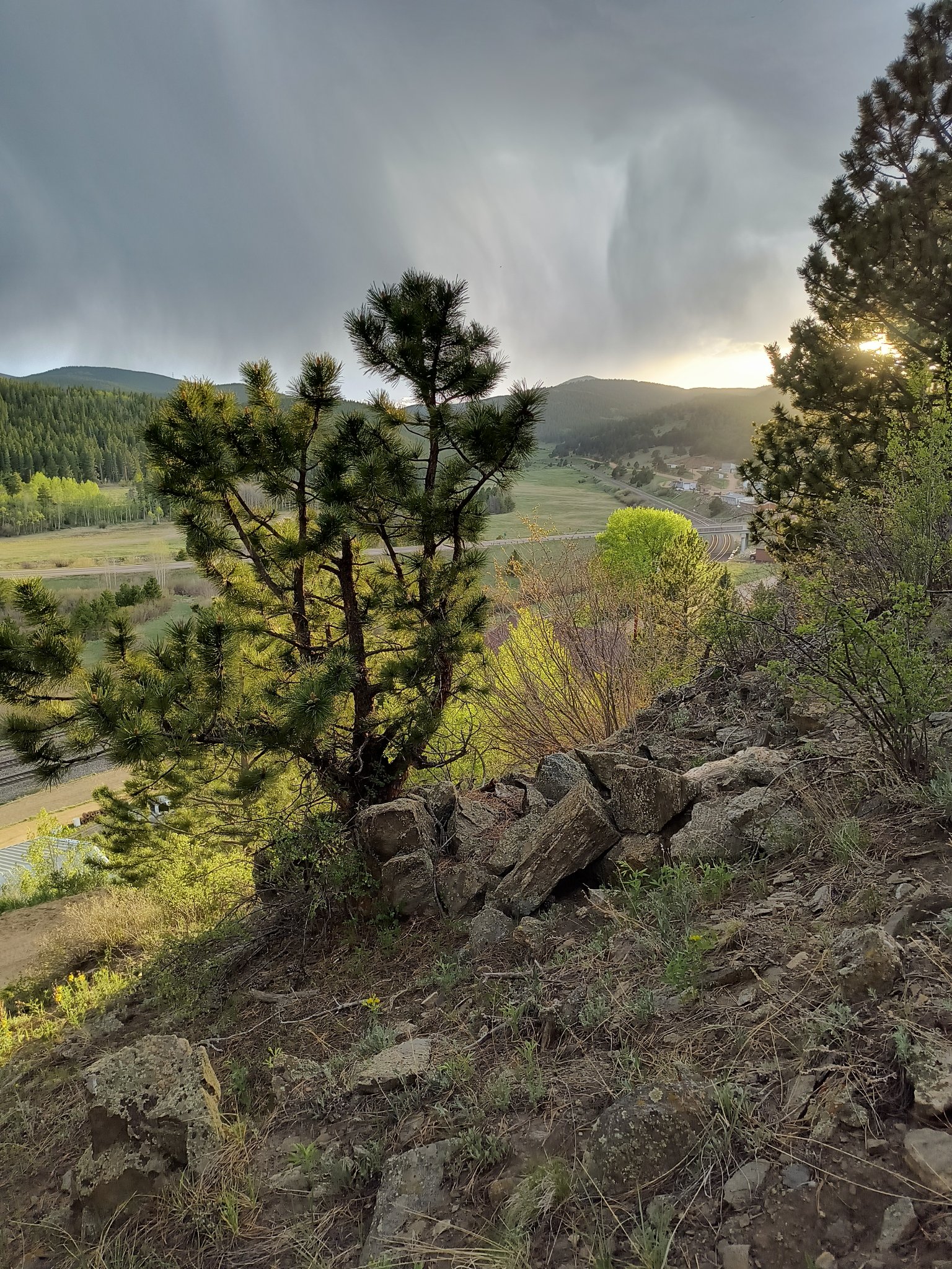 IMG_20240601_194433596_HDR.jpg