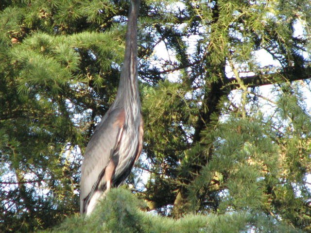 IMG_3763.jpg