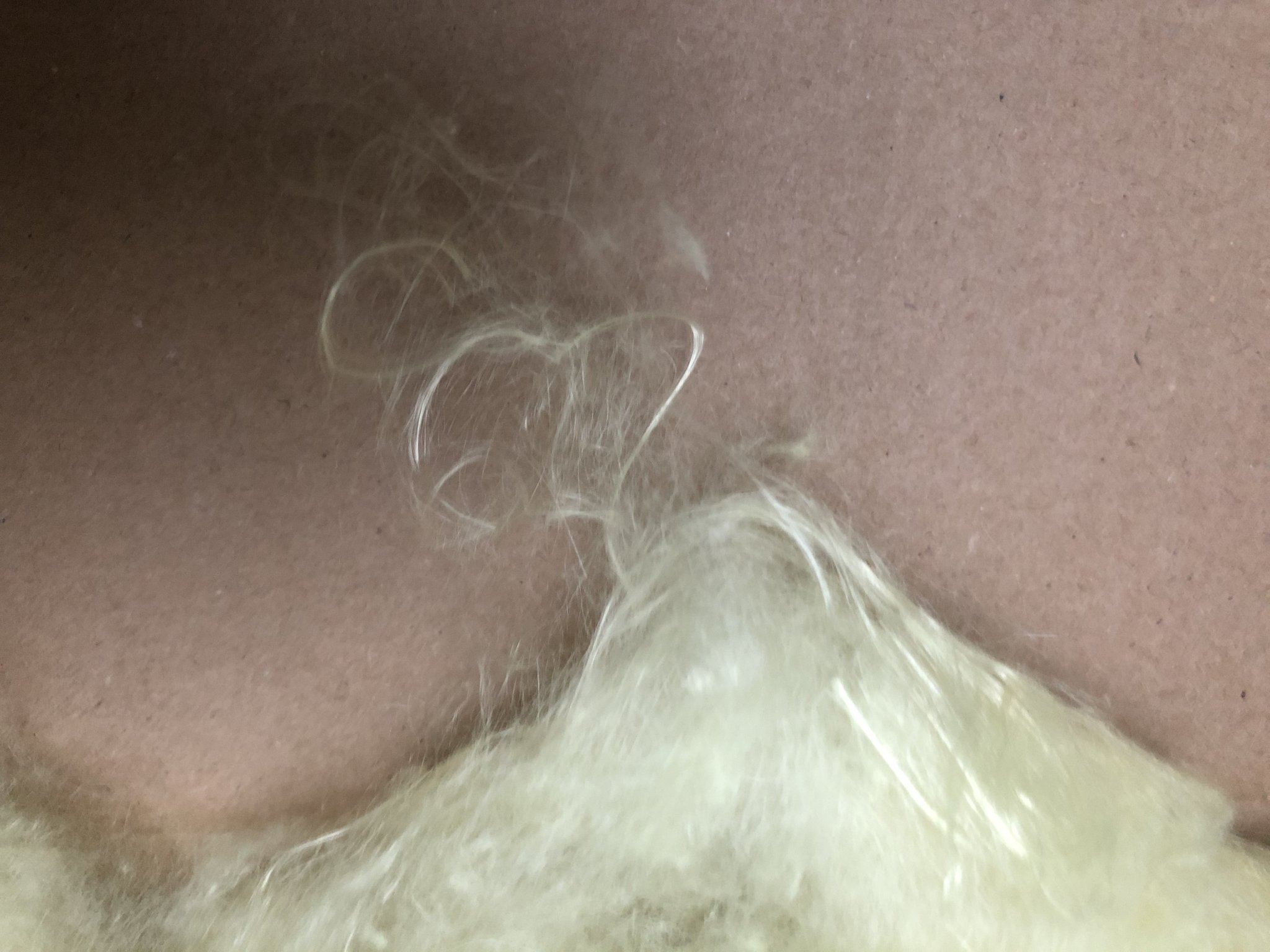 IMG_3921.jpeg