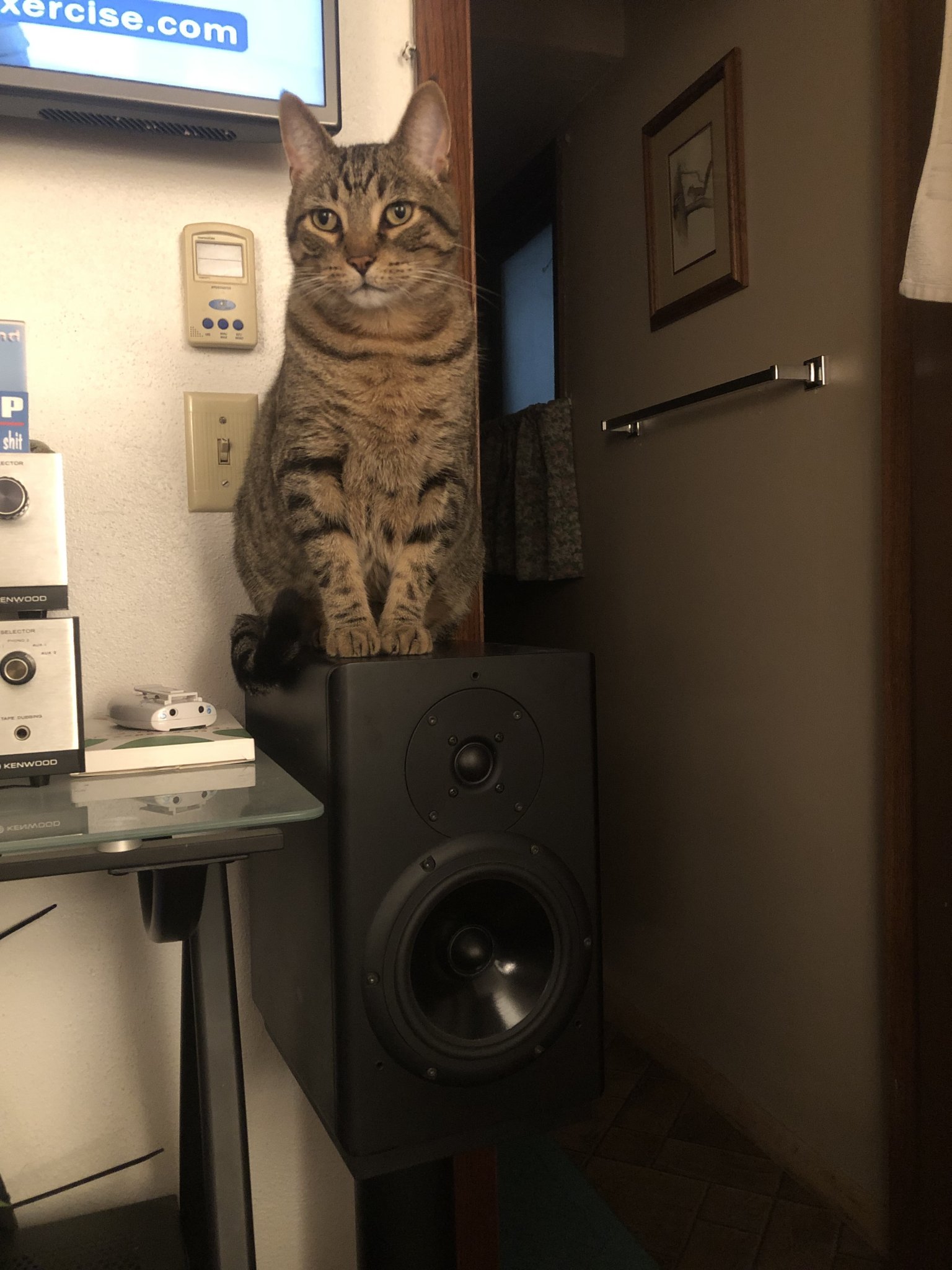 IMG_4711.jpeg