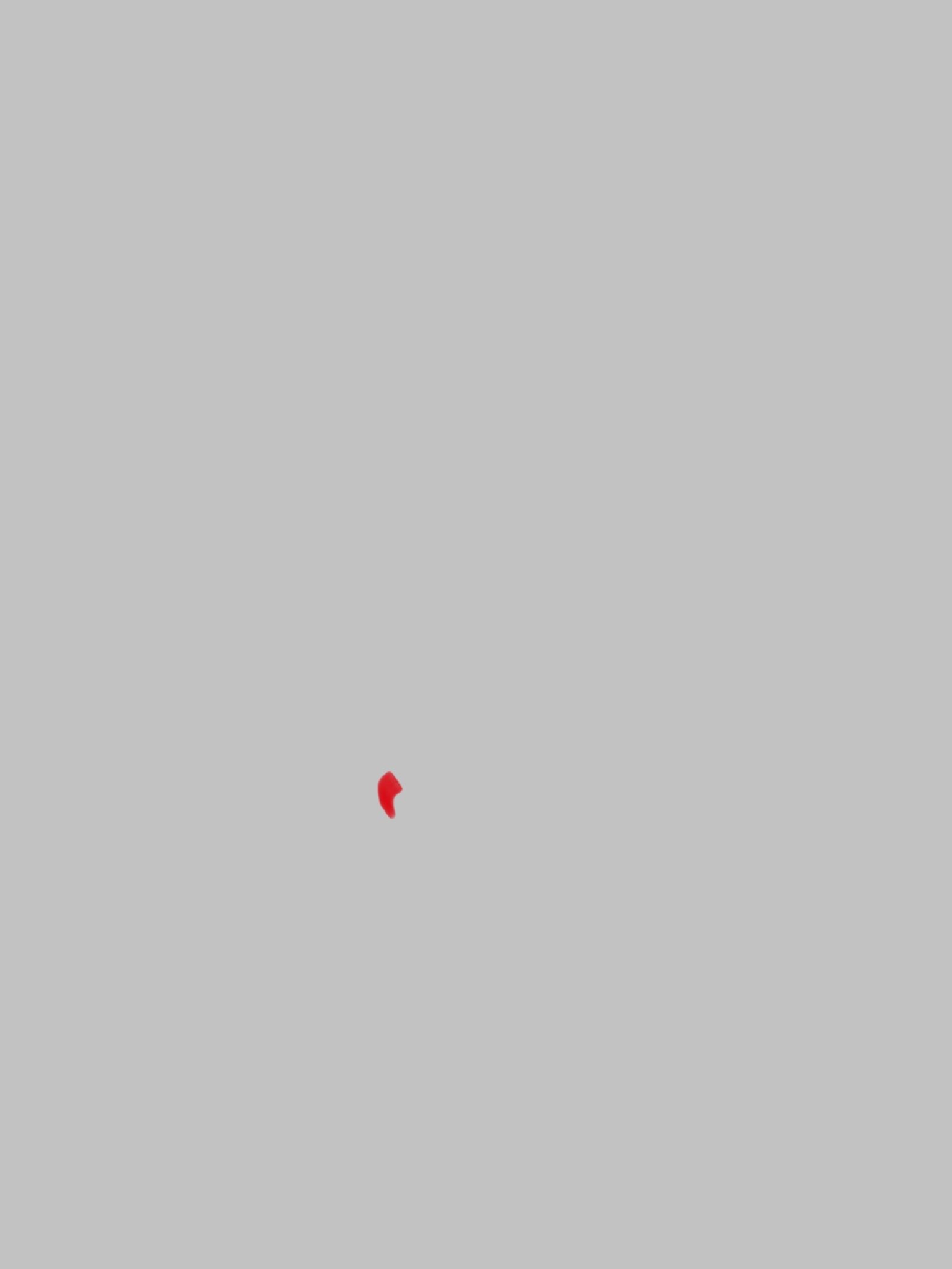 IMG_5139.jpeg