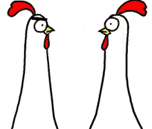 IMG_6345.gif