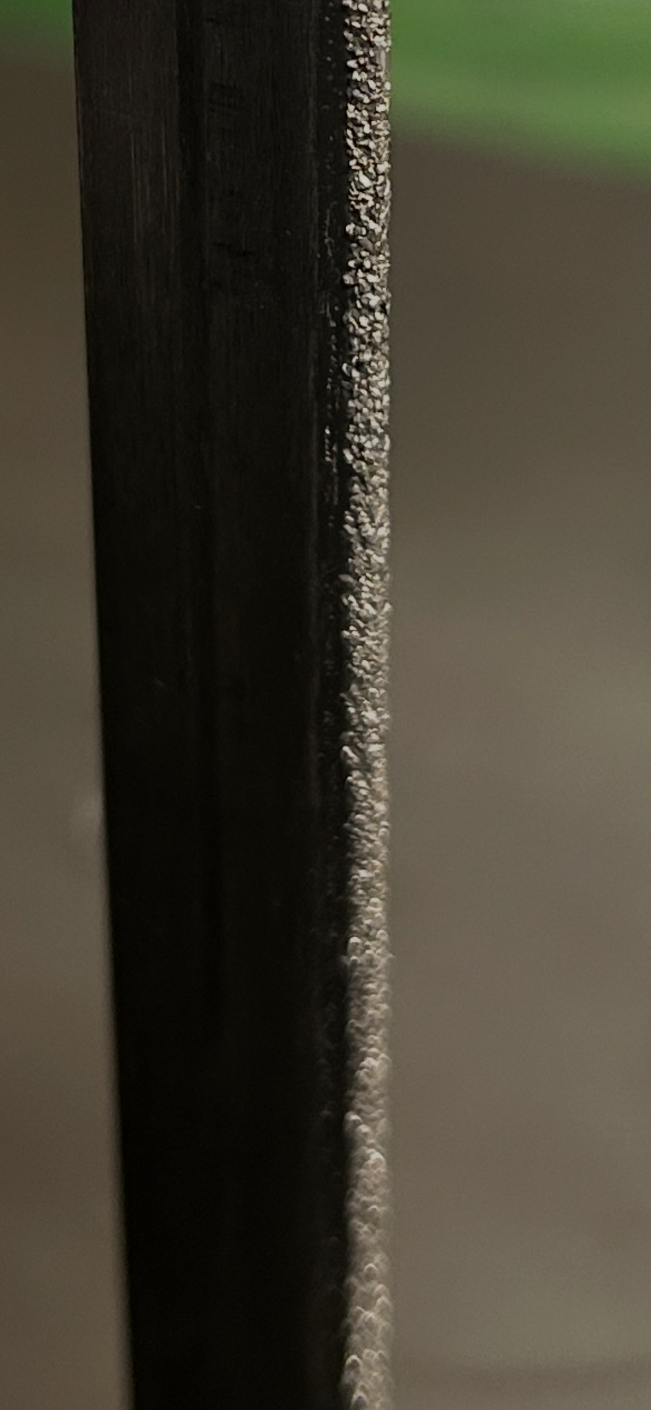IMG_6833.png