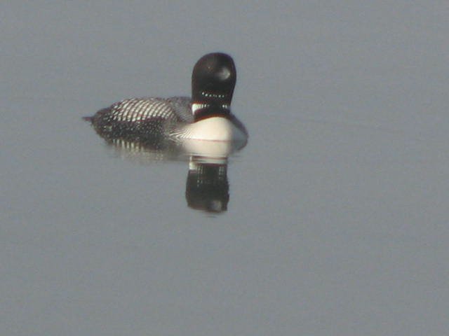 IMG_7177.jpg
