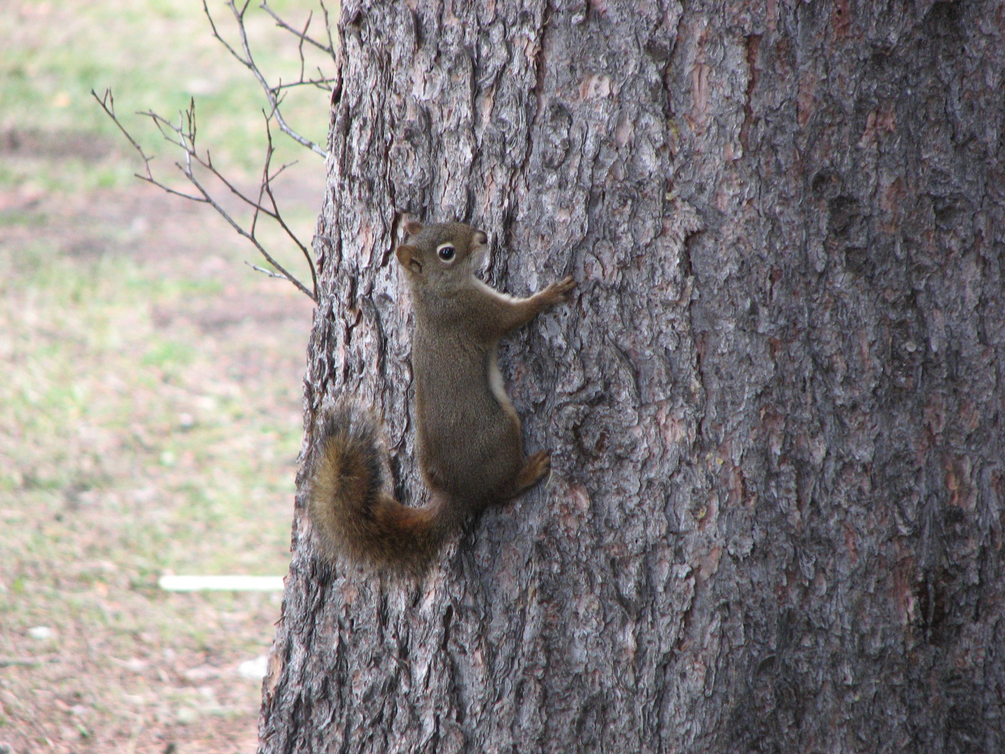 IMG_7697.jpg