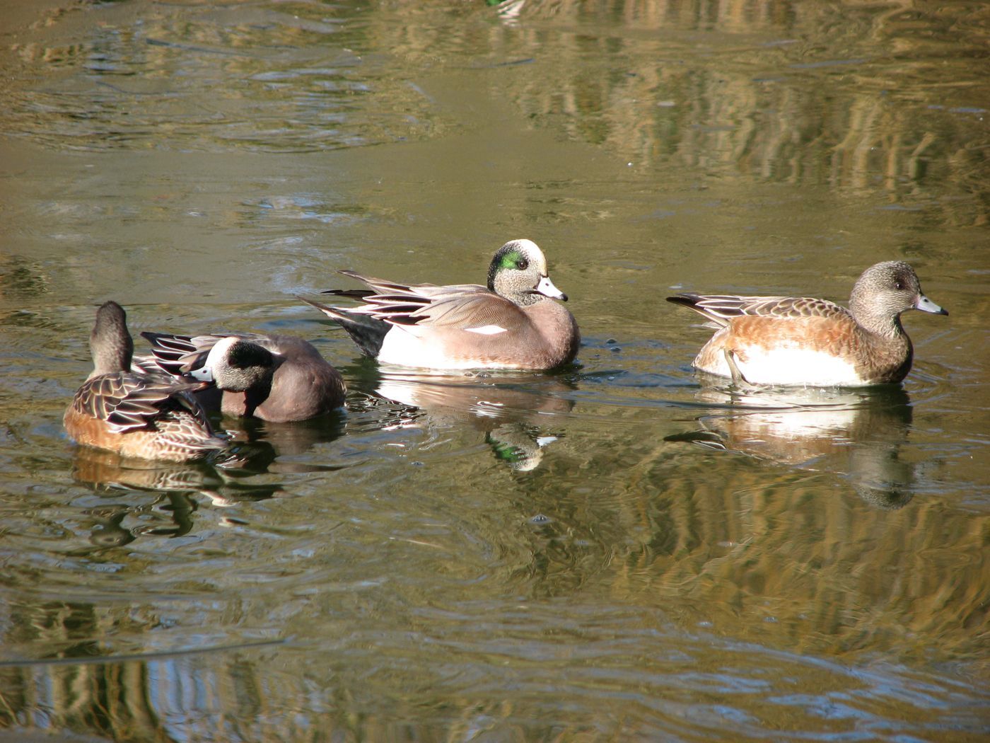 IMG_9307.jpg