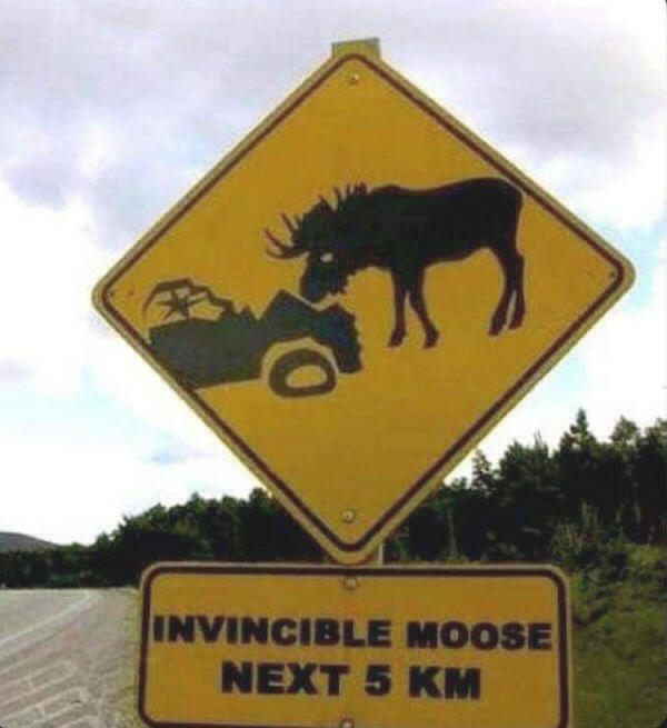 InvincibleMoose.jpg