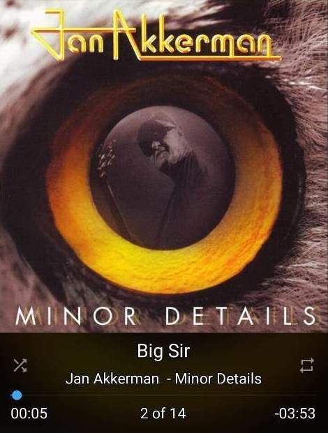Jan Akkerman - Minor Details.jpg