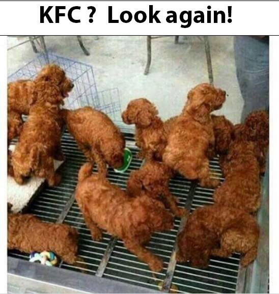 KFC.jpg