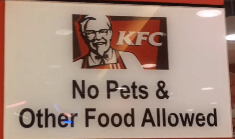 kfc-no-pets-other-food-allowed.png