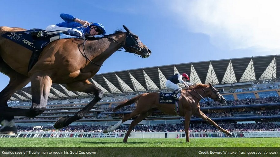 Kyprios King of the Stayers Gold Cup.jpg