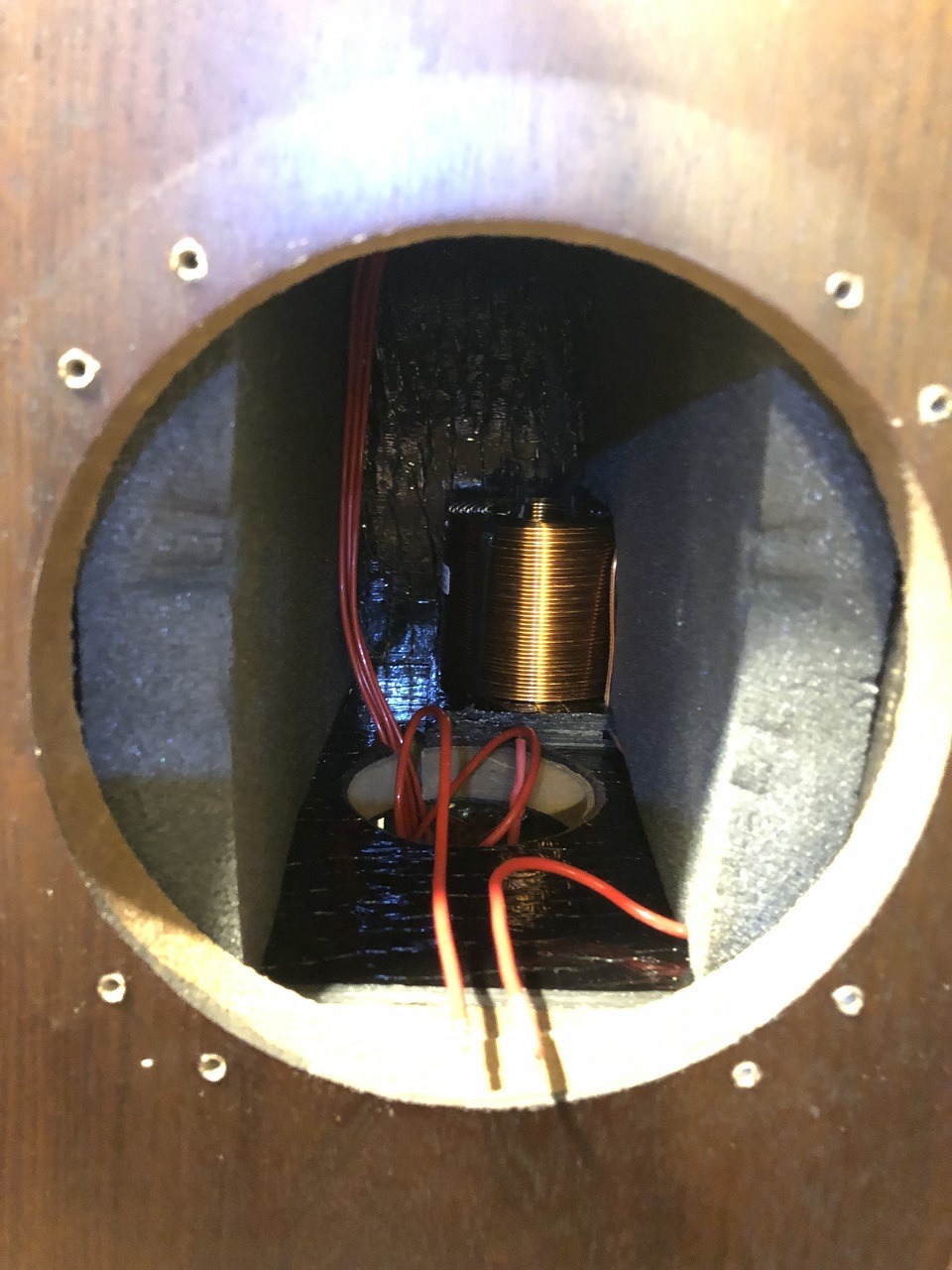 L1 6.5mH Jantzen air core inductor & Neotech solid core rewire - upper woofer.jpg