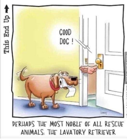 Lab.JPG