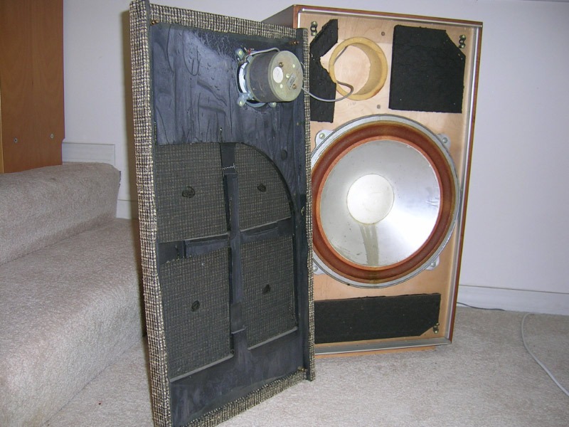 Leak speaker.jpg