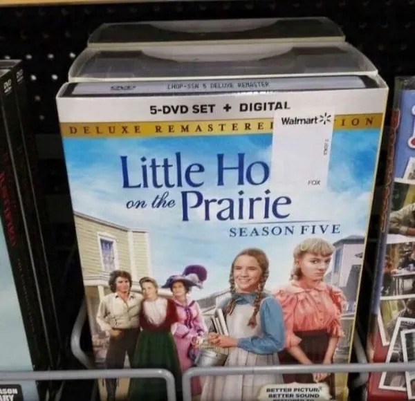 LittleHoOnThePrairie.jpg