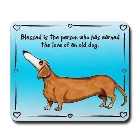 LoveOfOldDog.jpg