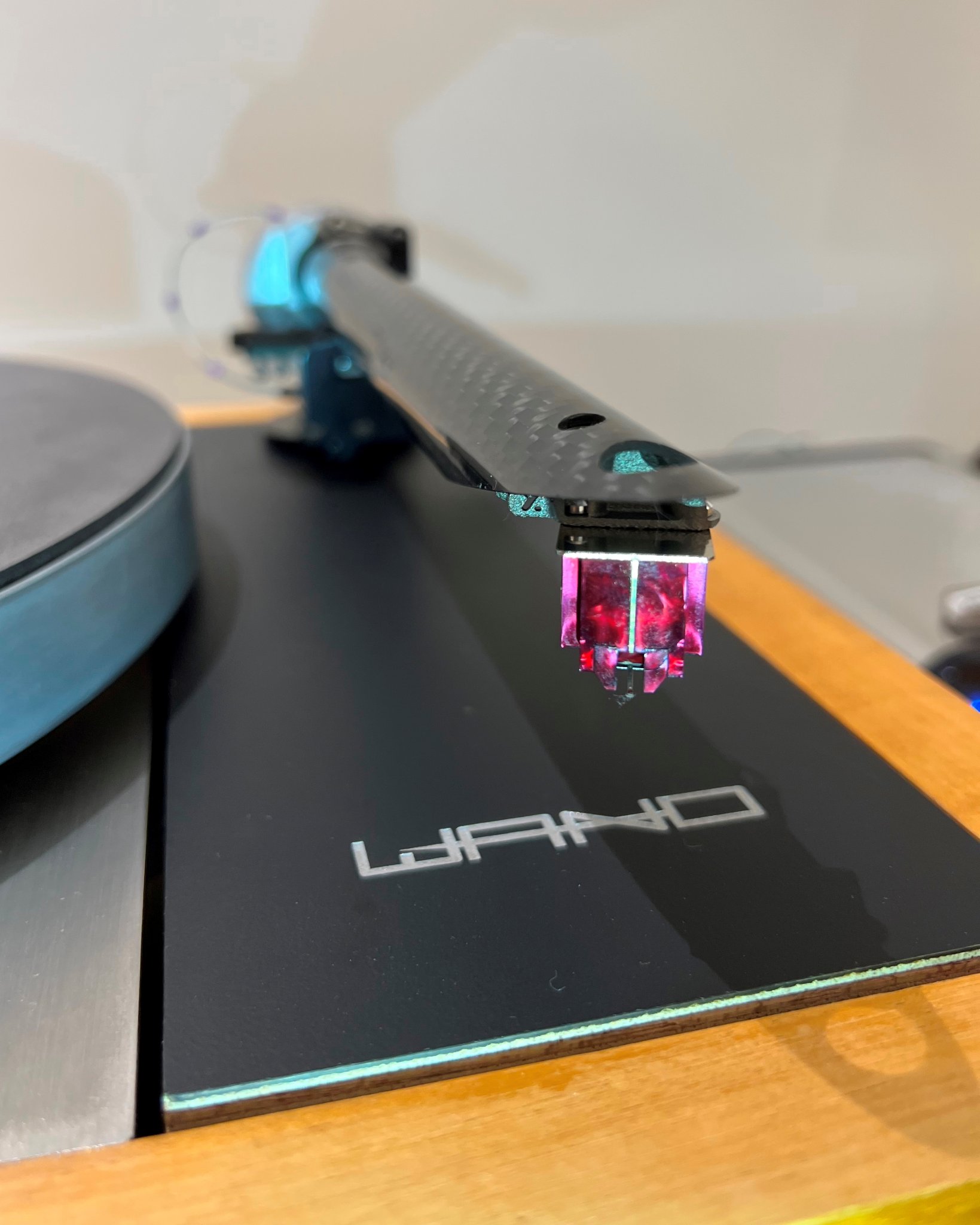 LP12 MUSHROOMS AND WAND 4.jpg