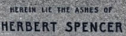 M&S.JPG