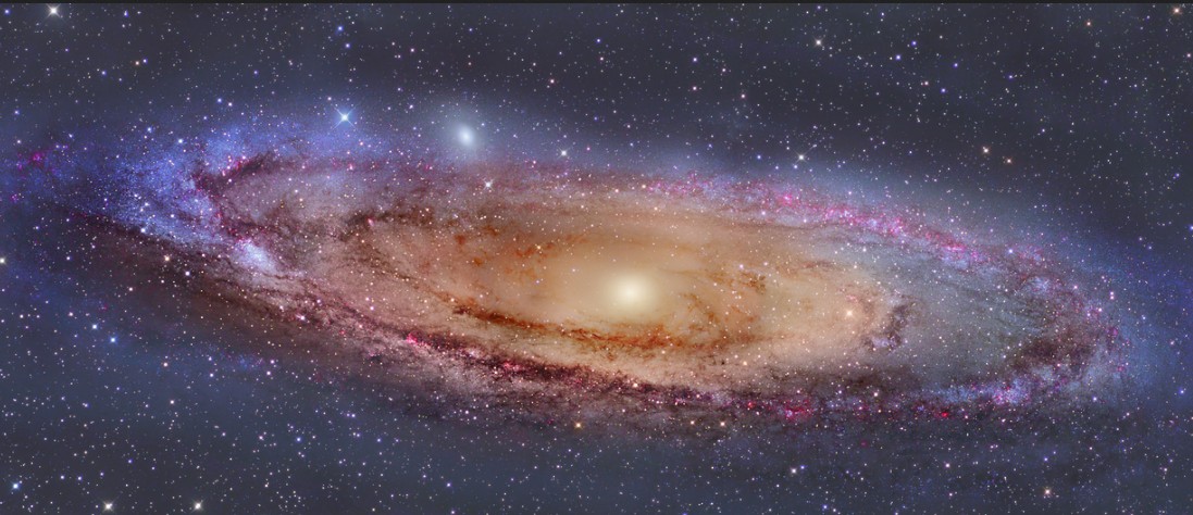M31 Andromeda Galaxy Bill Snyder.jpg