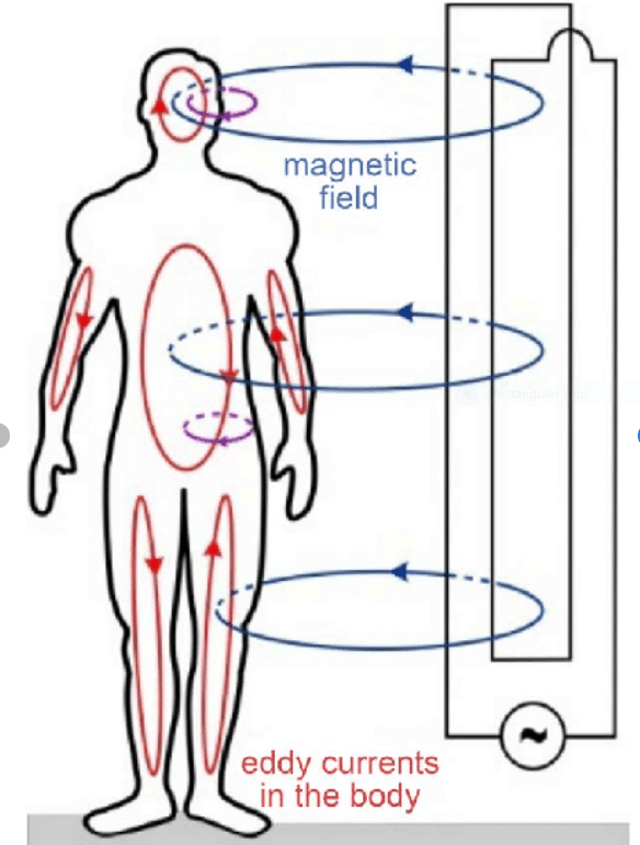 Magnetic flux and body.PNG