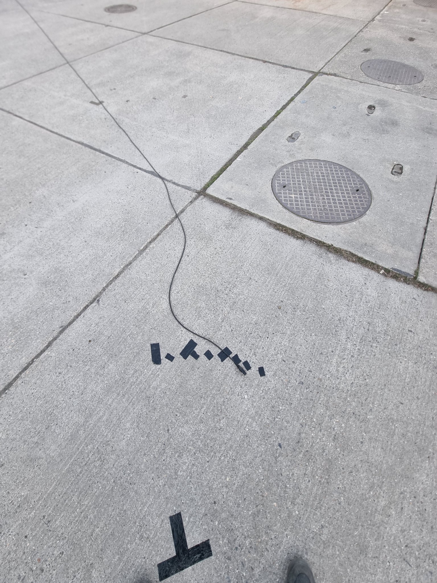 Marked for Polar.jpg