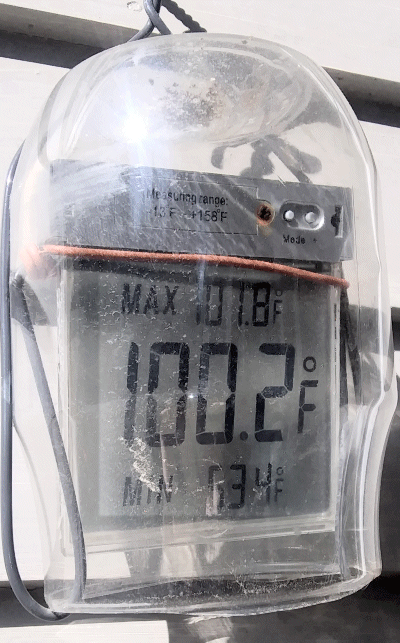 May5-100F.gif