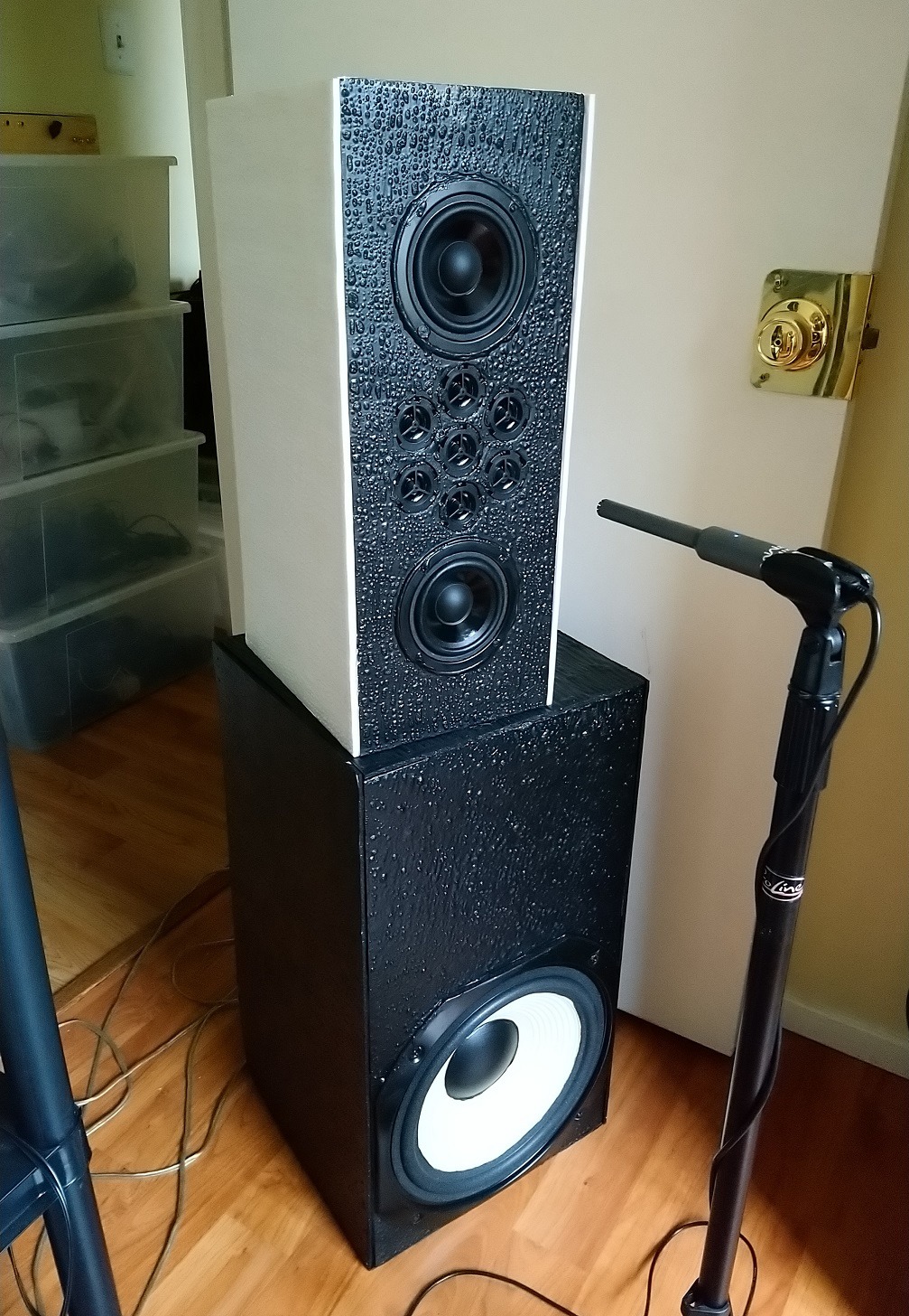 Mic.jpg