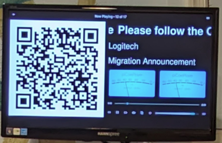 migration ann.jpg