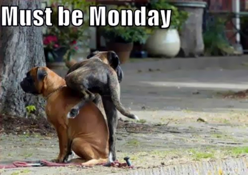 Monday.jpg