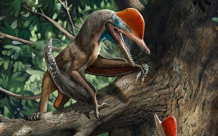 Monkeydactyl.jpg