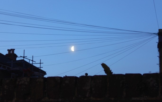 Morning Moon in Spring 2023.jpg