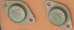 Mossy V-FET's.jpg