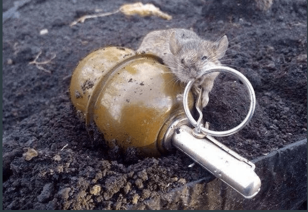 MouseWithHandgrenade.png