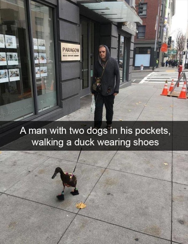 MrRobot.jpg