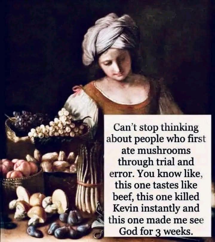 Mushrooms.jpg