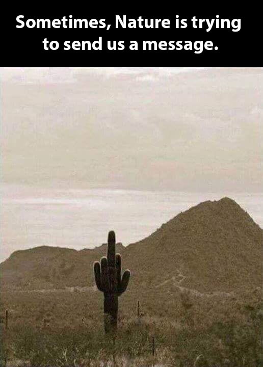 nature.jpg
