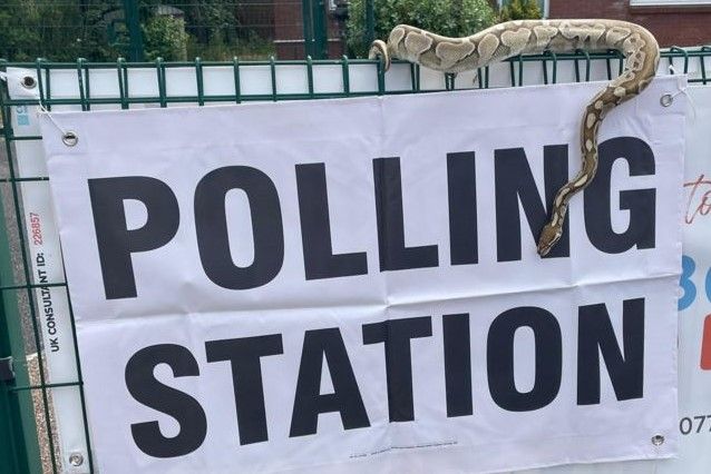Neptune the SSSSSNAKE at Polling Day.jpg