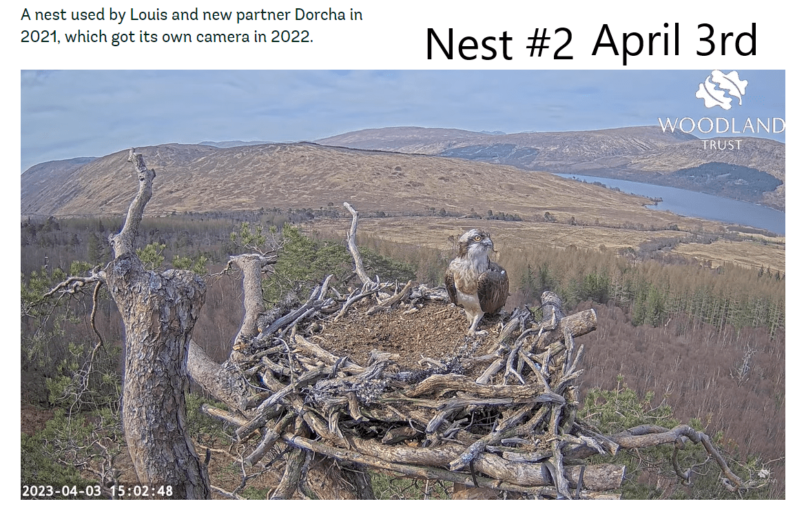 Nest2 030423.png