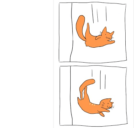 Newton's Cat 2.png