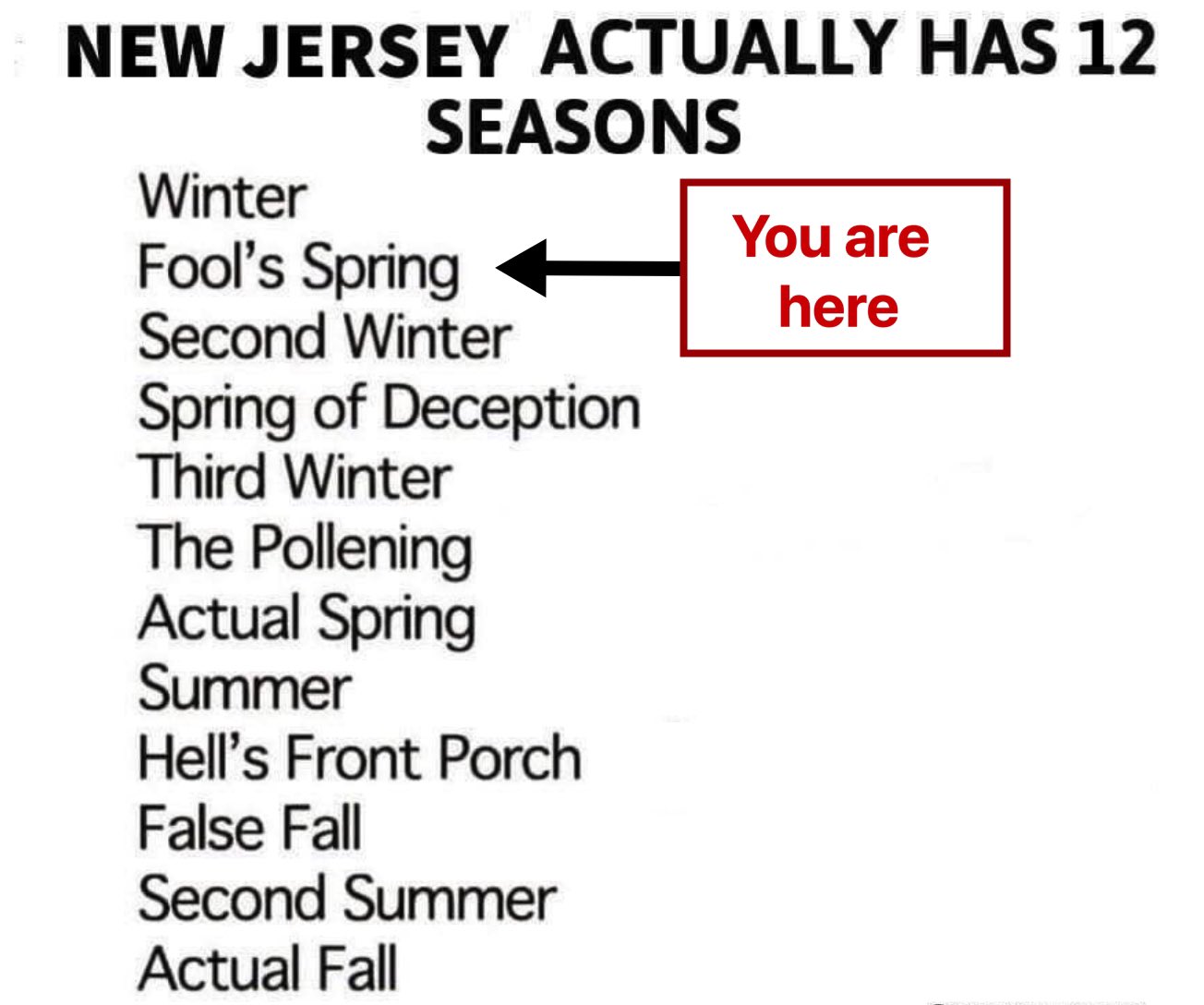 NJ-12Seasons.JPG