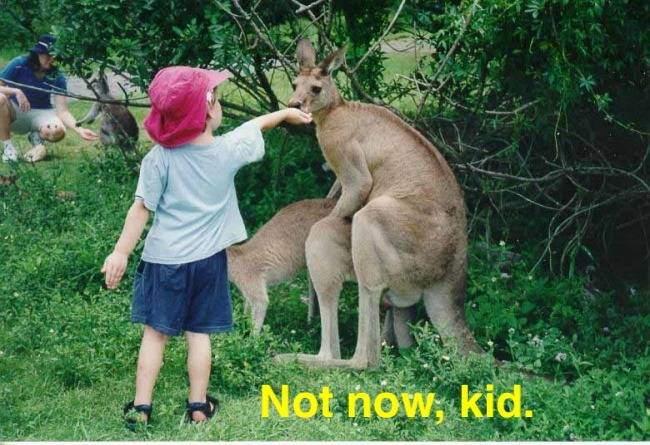NotNowKid01.jpeg
