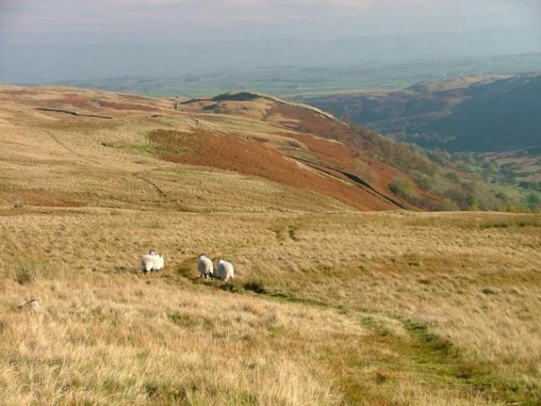 Old Corpse Road Mardale to Shap.jpg