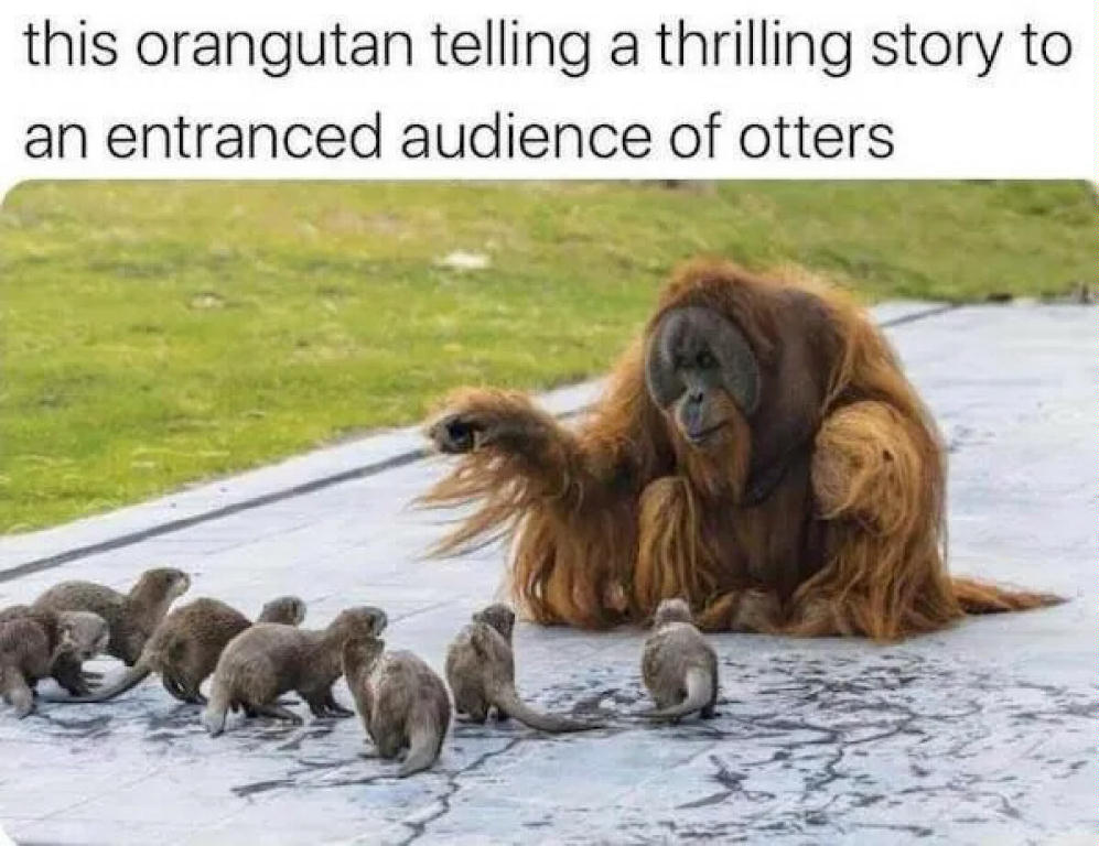 OrangutanTeachingOtters.jpg