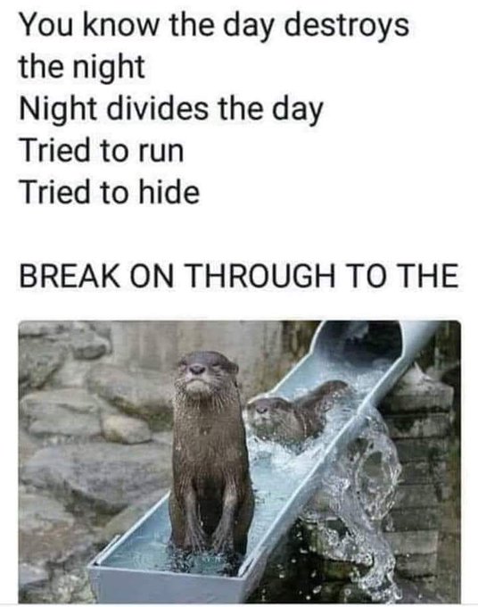 otterslide.jpg