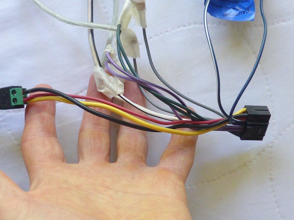 P1580834.JPG